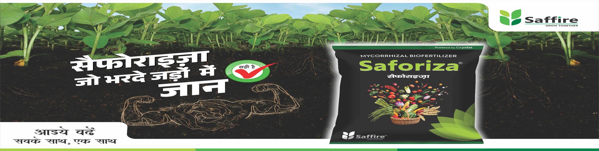 SAFORIZA banner